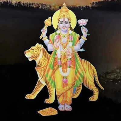 Package Image